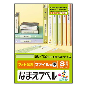 エレコム(ELECOM) EDT-KNM10 なまえラベル ファイル用・中 光沢 はがきサイズ 8面 12シート