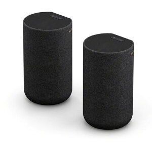\j[ SONY SA-RS5 AXs[J[ 21g SARS5