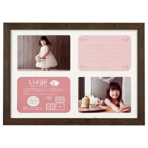 nNo(HAKUBA) FWLGC-BRA4T uE tHgt[ G[W Ve A4 ʐ^t[ z