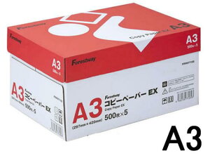 Forestway Rs[y[p[EX A3 500×5[s]