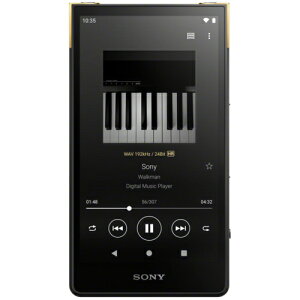 yۏؕtz\j[ SONY NW-ZX707 nC]ΉEH[N} ZXV[Y 64GB NWZX707C