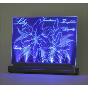 A[ebN CgXNb` A5 13347 CgXNb`@XNb`@H@}H@p@DIY@Cxg@i@IWi@[NVbv