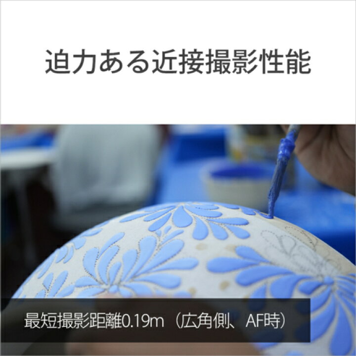楽天市場】【長期保証付】ソニー SONY FE 24-50mm F2.8 G SEL2450G E 