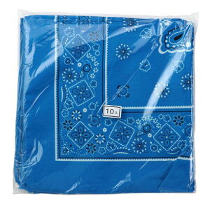 A[ebN o_i  10g 18169 ^@\@Cxg@̈Ձ@w|@`[J[@@K@