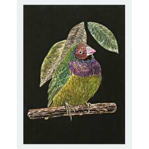 �A�[�e�b�N �X�N���b�`�{�[�hex �X�N���[�p�[ 13467