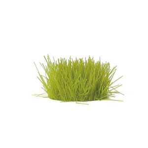 A[ebN ~j`AWI}f ނ 5mm I[u 55606 WI}@͌^@vf@ށ@؁@fށ@DIY@H@i@iF@c@cځ@@ނ@