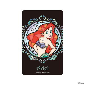 PGA PG-DSTK35ARL AG XehOX XebJ[ ICJ[hΉ PGDSTK35ARL