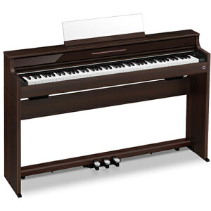 �y�W���ݒu�������z�y����5�N�ۏؕt�zCASIO �J�V�I AP-S450BN ���[�Y�E�b�h�� CELVIANO Slim Line �d�q�s�A�m 88���� APS450BN