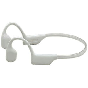 ̂ TA-SR1 [zCg `Cz Bluetooth5.3 IPX8h