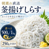 【楽天1位】 朝獲れ 釜揚げしらす 1kg 500g 選べる 内容量 250g小分け チルド便 一度も冷凍せずお届け 釜…