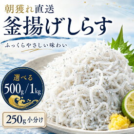 【楽天1位】 朝獲れ 釜揚げしらす 1kg 500g 選べる 内容量 250g小分け チルド便 一度も冷凍せずお届け 釜茹でしらす 大阪湾 岸和田漁港直送 しらす シラス ちりめん 海鮮丼 しらす丼 お取り寄せ グルメ 漁港直送 小分けパック 産地直送 ふっくら 新鮮 しらすパスタ