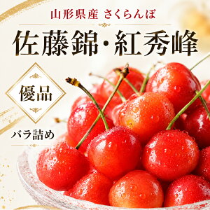 �R�`���Y �������� ������ �D�i 700g, 1kg �O�p�o���l�� �①�� �`�F���[ �T�N�����{ �ʕ� �t���[�c �{ ���ăM�t�g ���蕨