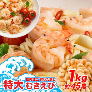 _2w700~OFF^傫EH]Iw^ ނ 1kgi45O/𓀌700gj