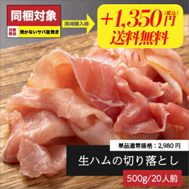 【同梱用】生ハムの切り落とし 500g（約20人前）