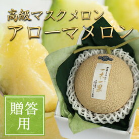 ＜贈答用＞静岡産マスクメロン 高級 アローマメロン 送料無料 | 高級果物専門店 ダイワ果園より直送 |