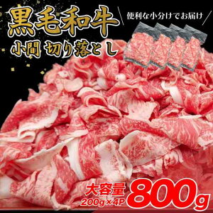 y800gi200g×4Pjze i јa ܐ؂ 800gi200g×4Pj