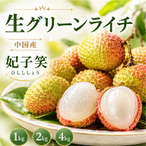 楽天市場】ライチ 妃子笑の通販