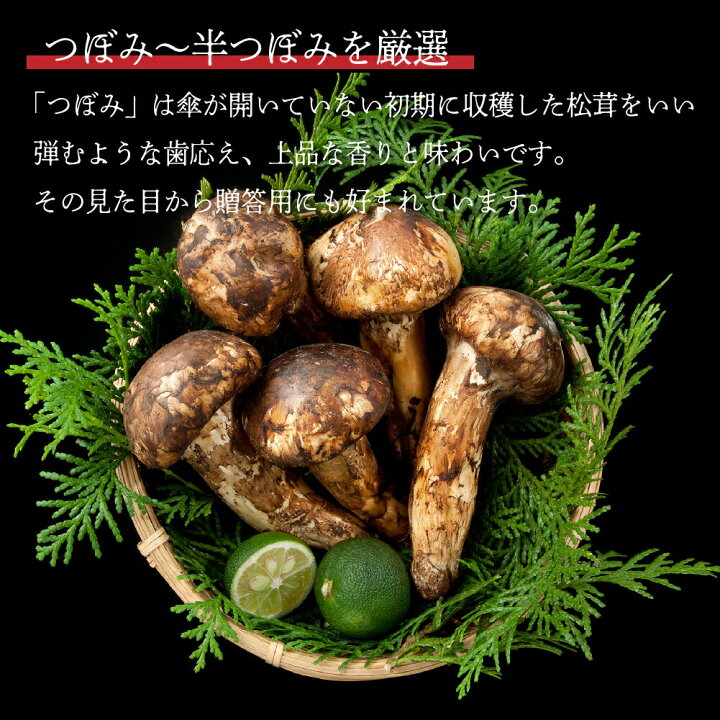 楽天市場】＜11月下旬まで＞国産 松茸 約500g 木箱入り 長野県産 