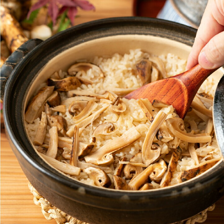 楽天市場】＜11月下旬まで＞国産 松茸 約500g 木箱入り 長野県産 