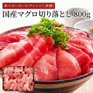 【楽天1位】 国産 マグロ 切り落とし メガ盛り 800g（400g×2パック）送料無料 まぐろ 刺身 赤身 キハダ…