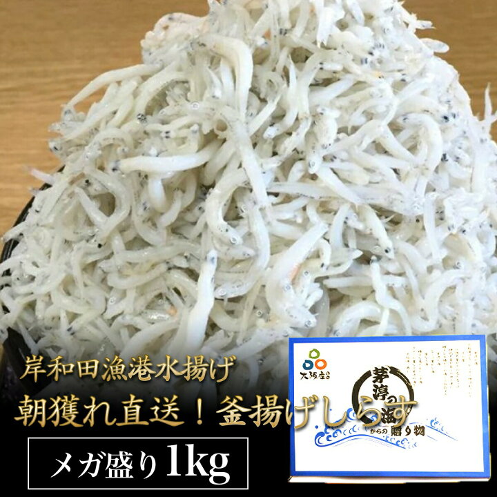楽天市場 釜揚げしらす 1kg しらす 釜揚げ シラス 大容量 メガ盛り 超お買い得 冷蔵便 釜揚げシラス お取り寄せグルメ 高級グルメ おうちごはん 小分け 美味しいもの おいしいもの ギフト 食品 敬老の日 食べ物 岸和田漁港水揚げ 秋しらす 春しらす 全国産直お取寄せ