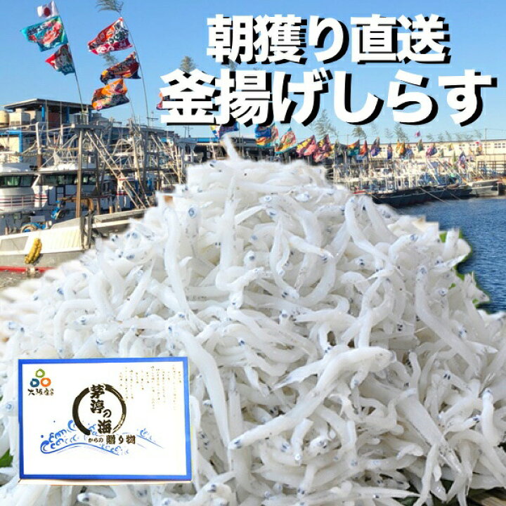 楽天市場 朝獲れ 漁港より直送 釜揚げしらす 500g 岸和田漁港水揚げ 大容量 メガ盛り 超お買い得 冷蔵便 全国産直お取寄せ Tokka トッカ