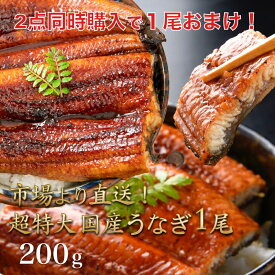 楽天市場 トッカ うなぎの通販