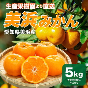 �y�Y�n�����z���m�����l�Y �݂���5kg�i�󂠂�j�ƒ�p ������ �������� �݂��� �m���݂��� ���l�� �m������