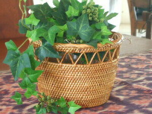 A^@Jo[҂݁y11cmzv^[Jo[ AؔJo[ ݔ S~ _Xg{bNX CeA   i` ][g [ [JS o oG A^