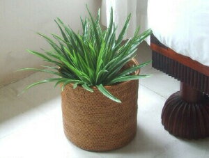 A^oXPbgya19cmz [oXPbg  Jo[ v^[Jo[ S~ ݔ  i`  [JS [ oG o A^i uE