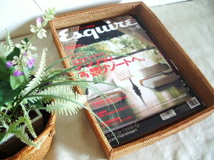 �A�^���@���ރg���[/A4�T�C�Y�y��33cm�z�������� ���[�o�X�P�b�g ���[�g���[ �� ���ރg���[ �A�W�A���G�� �i�`������ ������� ���[�J�S ���[���� �o���G�� �C���e���A ���]�[�g �o���� �A�^