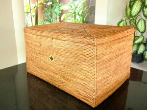 A^͗l{bNXy35×25×20cmzWt ӂ [oXPbg [JS [ [{bNX  JS  CeA  킢  i` ][g o o