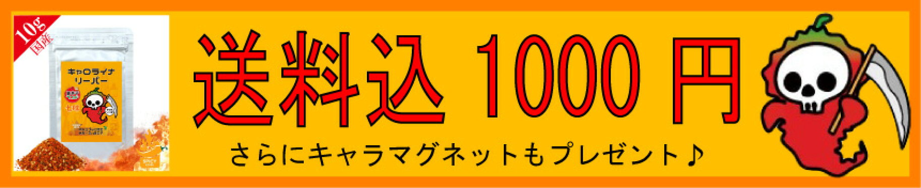1000円ポッキリ