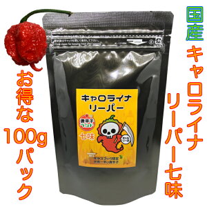 C Yōi [ 100g LCi[p[ MlXF萢Ehhq (LCiE[p[)/h  hq  h |h Ƃ炵 gEKV ` 