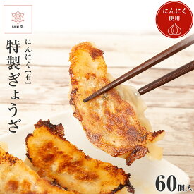 特製餃子 餃子 ぎょうざ ギョウザ ギョーザ ぎょーざ 冷凍 60個入 焼き餃子 冷凍餃子 にんにく 有り 国産 豚肉 飲茶 点心 香港 香港点心 香港飲茶 中華料理 本格中華 中華 手軽 簡単調理 お取り寄せ お歳暮 プレゼント