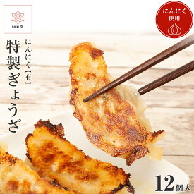 餃子 ぎょうざ 国産 豚 キャベツ にんにく ボリューム たっぷり 肉汁あふれる 大きい ギョーザ ギョウザ 12個 化学調味料不使用 安心 安全 豚肉 中華 点心 冷凍 冷凍餃子 お取り寄せ グルメ ギフト お歳暮 プレゼント