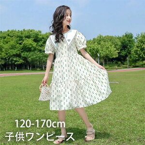 ̎q s[X LbY   s[X  hX qhX qǂ s[X s t w Ǝ \ ܎O  lCr[ bh 