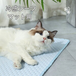 ybgpV[c ⊴ V[c bV Jo[ ėp ~pbh N[}bg ybgV[c 􂦂 p Lp ڐG⊴  ~  ې JԂp\  MǑ΍ 