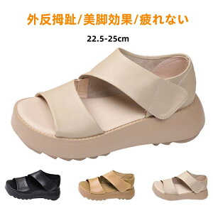 T_ fB[X T_  ₷ y X|T Ȃ X|[cT_ V[Y 5cm q[ ~ K L  s t  ɂ Vv I[v