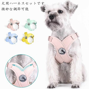 n[lX ^ ^ V  Sy [ht p  [hZbg IV  Ȃ ߕtȂ i߂Ȃ pXeJ[ U o y K ȒP 