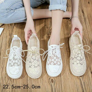 fB[X T}[Xj[J[ Xb| ԕ[X LoX  ʋC ₷ Vv tbgV[Y bVT_ JWA ʊw ʋ s t  V[X[ wlC 