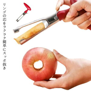 c  c t[cRA[ RA[ 񂲂̐c  c ь  Jb^[ d؂ RA[o[c[ XeX| S c fU[g XC[c  P[L