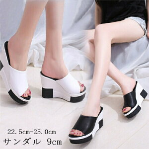 fB[X T_ 9cm T_  EFbWT_ T_ V[Y  r[`T_  fB[X T_ EGbW\[ Ȃ  