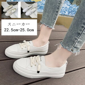 fB[X Xj[J[ yʃ[JbgXj[J[ Xb| Cq[ X|[c tďH LbY C  x[W  킢 ₷ d ʊw wZp w Vv V[Y 