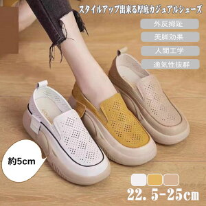 EhgD胍[t@[ JWAV[Y Od lԍHw JWA V[Y fB[X 5cm yʐ݌v ~ ʋCK L JWAV[Y T_ 