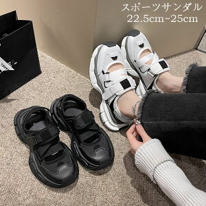 T_ Xj[J[T_ ~ ɂȂ X|T y ɂ X|[cT_  AEghA s   fB[X 4cmq[ 