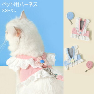 L  Lp n[lX ˂ hXt lR Ck ybg xXg 킢 Ȃ ȒP  U o Lbg hbO XS S M L XL 킢  ԕ  