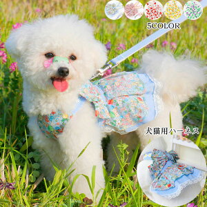 Lpān[lX[hZbg ybg/[h Lpi hXt ybgObY L[h  Ђ bV ԕ s[X   ʋC Ȃ o U