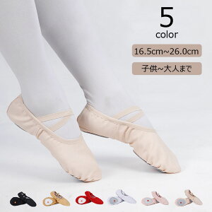 oGV[Y 2Zbg q l LbY WjA 5F oG _X V[Y Kp AEghA ̑ _ bX ߑ tBbg \tg _炩 oGpi  jp 