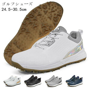 StV[Y Y XpCNX Z[ R^Cv 傫TCY L h ʋC tBbg y ₷ ϋv K XpCNX  av[g ސEj hV̓ 